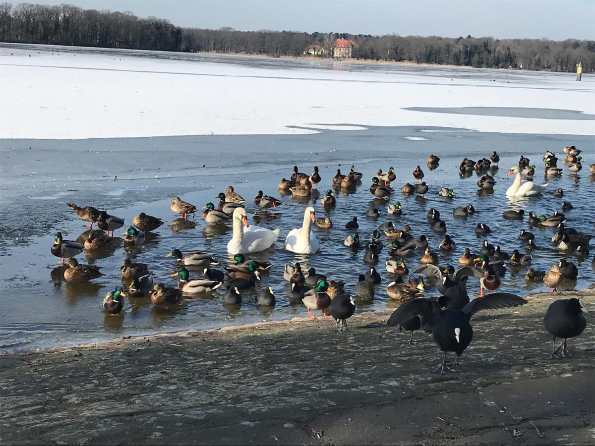 Klein App In Alt - Tegel Daire Berlin Dış mekan fotoğraf
